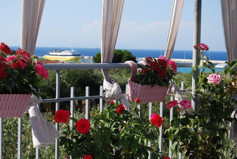 Luxury Traditional Room The Small Bookstore Kastro-Kyllini المظهر الخارجي الصورة